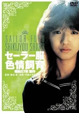 动漫同人剧场版 木叶档案 未寄出的信 封面